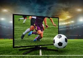 大谷翔平在 2024 年 50-50 达成后，其小学时期的练习本在电视节目中曝光，尽显自律