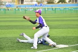 世界棒球12强赛技术会议召开