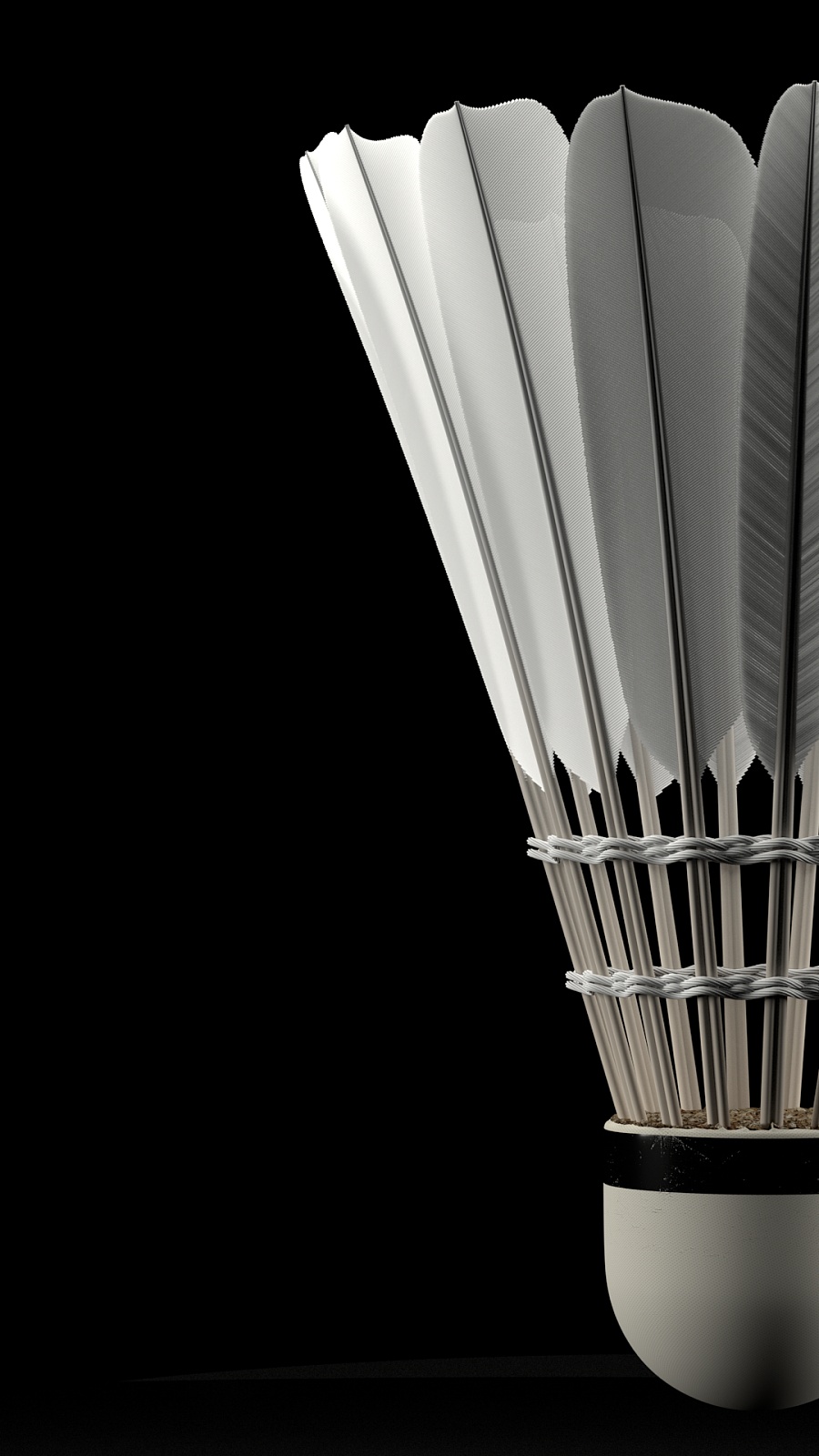 自己的赛程 自己的赛程